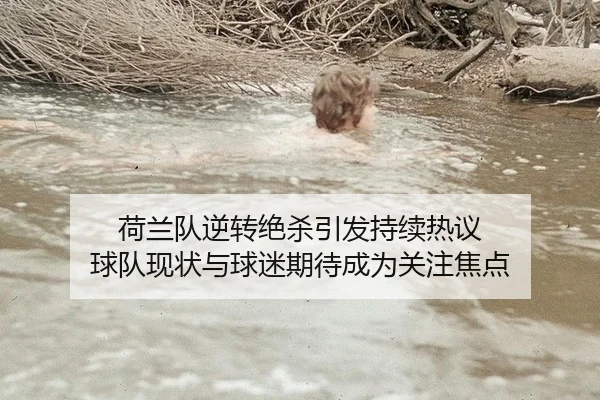 荷兰队逆转绝杀引发持续热议 球队现状与球迷期待成为关注焦点